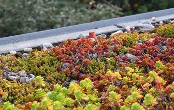 the cost of Rushmore Hill green roof installation